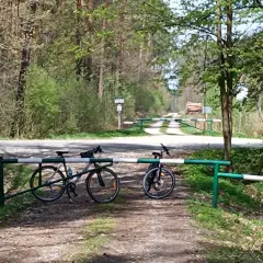 Dwa rowery czekają na odkrycie tras rowerowych Tarnów. Leśna droga zamykana szlabanem zaprasza do przygody.