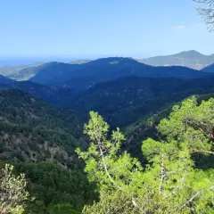 Malowniczy widok na góry Troodos, porośnięte gęstym lasem sosnowym, z widocznym w oddali morzem.