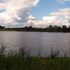 Vista dalla terrazza sul lago Monterosi, con canneto in primo piano e cielo nuvoloso.