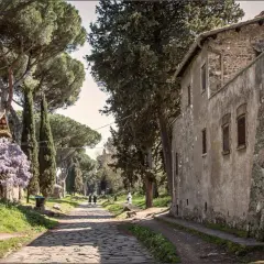 Une ancienne voie romaine à Rome, bordée de cyprès et de pins parasols, avec des maisons en pierre et des glycines en fleurs.
