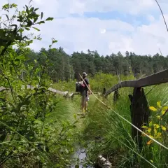 Wędrowiec idzie drewnianym pomostem przez mokradła w kierunku lasu. W oddali widać las, a nad nim błękitne niebo z chmurami. To malownicze **kobyle jezioro**.
