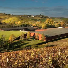Colline piemontesi in autunno, con le **vite colte Barolo** che tingono il paesaggio di giallo e rosso, e una moderna cantina immersa nel verde.