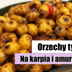 Orzech tygrysi: Skuteczna przynęta na duże karpie i amury? Poradnik.