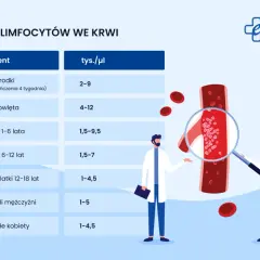 Tabela norm limfocytów we krwi dla różnych grup wiekowych. Dwóch lekarzy analizuje pod mikroskopem naczynie krwionośne, gdzie widoczne są czerwone krwinki i limfocyty.