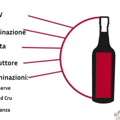 Consigli per l'acquisto di un vino, come un ottimo **cabernet sauvignon**, con dettagli su ABV, denominazione, annata, produttore e classificazioni.