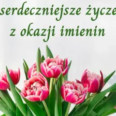 Najserdeczniejsze życzenia imieninowe dla mamy. Bukiet różowych tulipanów.