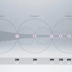 Visualisation des harmoniques de la musique, montrant la fondamentale et ses octaves successives.