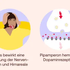 Dopamin überträgt Signale, was Erregung bewirkt. Pipamperon hemmt Dopaminrezeptoren, verhindert anregende Wirkung.