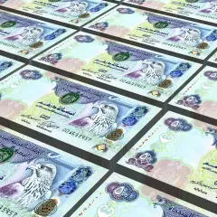 Banknoty 500 dirhamów, czyli jaka waluta w Dubaju. Widoczne są wizerunki sokołów i arabskie napisy.
