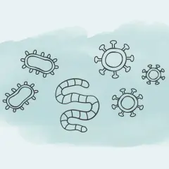 Bakterien, Viren und ein Wurm – Symbole für ansteckende Krankheiten, die uns alle betreffen können.