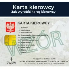 Karta kierowcy straciła ważność? Sprawdź, czy można jeździć. Widok karty kierowcy z danymi i datą ważności.