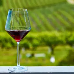 Calice di vino rosso su un tavolo con vigneti verdi sullo sfondo, un assaggio dei migliori vini.