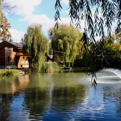 Piękny staw z fontanną i drewnianym budynkiem w tle. Zastanawiasz się, ile kosztuje bilet do zoo w Chorzowie?