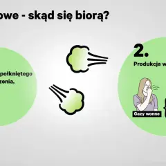 Gazy jelitowe powstają z połkniętego powietrza (azot, tlen) i produkcji w jelitach (dwutlenek węgla, wodór, metan, siarkowodór, inne związki siarkowe).