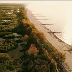 Malownicze wybrzeże polskie z piaszczystą plażą, lasem i mokradłami. Słońce odbija się w spokojnej wodzie.