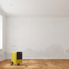 Gelber Luftentfeuchter im leeren Raum mit feuchten Stellen an der Wand. Ein Hausmittel gegen Feuchtigkeit aus der Wand.