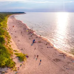 Piękna plaża z lasem sosnowym, idealne miejsce, by zastanowić się, gdzie na wakacje. Słońce odbija się w wodzie, a ludzie odpoczywają na piasku.