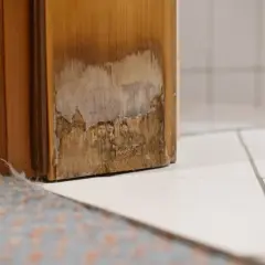 Marco de puerta de madera dañado, con moho y descascarado. Se necesita una solución para quitar moho madera vinagre.