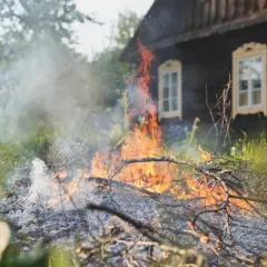 Palenie gałęzi na działce? Uniknij kary! Przepisy i alternatywy