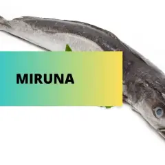 Miruna co to za ryba? Długi, ciemny dorsz morski, idealny na obiad.