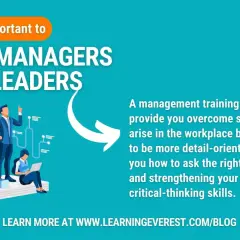 Illustration of a team benefiting from management and leadership training, enhancing skills for workplace success.