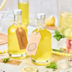 Zwei Flaschen mit gelbem Limoncello, ein Glas mit Eis, Zitrone und Minze. Das ist das original italienische Limoncello Rezept.