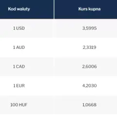 Jak kupić euro w NBP – procedury, kursy i opłaty, które musisz znać