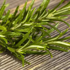 En kvist av rosmarin perenn ligger på en träyta. Dess gröna, nålliknande blad är tätt placerade.