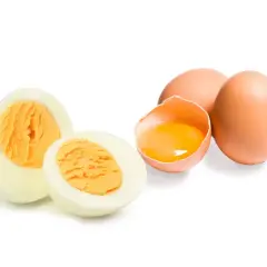 Ein hartgekochtes Ei, halbiert, daneben ein rohes Ei mit flüssigem Dotter. Ein Hund würde sich über ein solches Frühstück freuen.