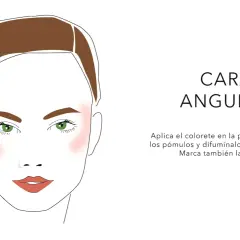 Ilustración de un rostro angular con rubor rosado aplicado en los pómulos y difuminado hacia las sienes.