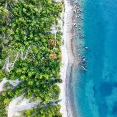 Luftaufnahme eines Küstenstreifens mit üppigem Grün, einem Kiesstrand und dem türkisfarbenen Ljubljana Meer.