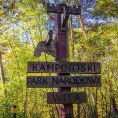 Drewniany drogowskaz "KAMPINOSKI PARK NARODOWY WITA" wita w sercu puszczy kampinoskiej, wśród zieleni drzew.