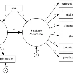 Ecuaciones estructurales para investigaciones médicas: aplicaciones y retos