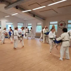 Goju ryu karate-utövare tränar sparkar och slag med kuddar i en dojo.
