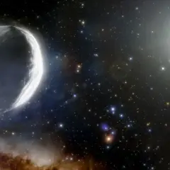 Un gros poisson comète taille adulte, illuminé par le soleil, traverse un champ d'étoiles et de nébuleuses.