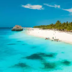 Playa paradisíaca en Tanzania y Zanzibar con aguas turquesas, palmeras y un muelle con techo de paja.