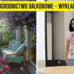 Kwiaty na balkon: Wybór, sadzenie i pielęgnacja kompletny przewodnik