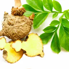 Bulwa konjac, znana też jako "co to jest", z przekrojem ukazującym żółty miąższ i zielone liście.