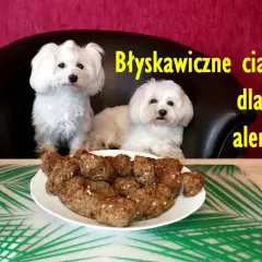 Dwa białe pieski patrzą na talerz z domowymi, zdrowymi ciastkami dla psa. Przepis na nie jest prosty!