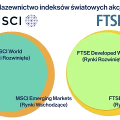 Porównanie indeksów MSCI World i FTSE. Diagram przedstawia podział rynków rozwiniętych i wschodzących w ramach globalnych indeksów akcji.