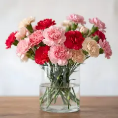 Bukiet różowych, czerwonych i kremowych goździków w szklanym wazonie. Dowiedz się, jak dbać o goździki w wazonie, by dłużej cieszyły oko.