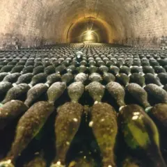 Des milliers de bouteilles de champagne vieillissent dans les caves voûtées de la visite cave Deutz.