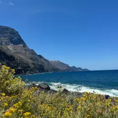 Flores amarillas en primer plano, mar azul y acantilados imponentes en la playa de Guayedra.