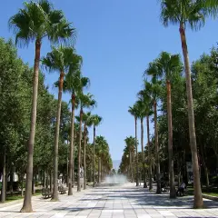 Paseo arbolado con palmeras a ambos lados, bancos y una fuente al fondo. La rambla de Almería invita a un paseo tranquilo bajo el sol.