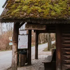 Drewniana portiernia z zielonym, mchowym dachem, zapraszająca do odkrywania atrakcji Biskupina.