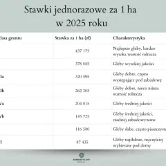 Odrolnienie działki rolnej: Przewodnik, koszty i zmiany 2026