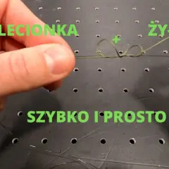 Jak połączyć żyłkę z plecionką? Wybierz węzeł idealny!