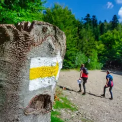Żółty szlak na Kotarz. Dwie osoby idą leśną ścieżką, a znak na drzewie wskazuje kierunek.