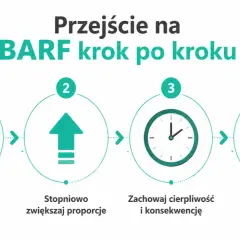 Przejście na BARF krok po kroku: wprowadź małe porcje, stopniowo zwiększaj, zachowaj cierpliwość i obserwuj reakcje kota.