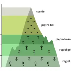 Wysokość nad poziomem morza i piętra roślinności w górach. Czy Tatry to Karpaty? Tak, Tatry to najwyższe pasmo Karpat.